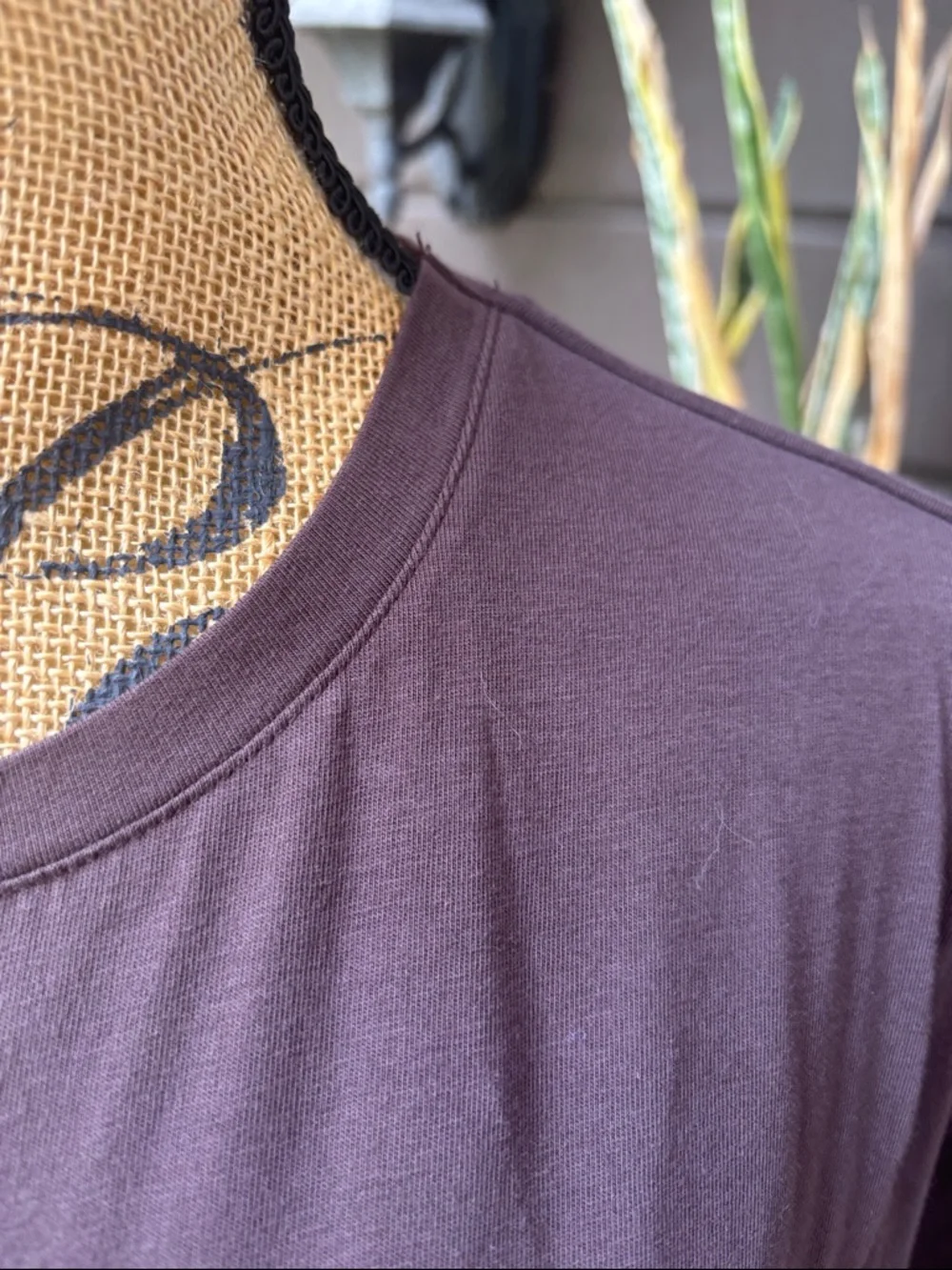 Zara Short Sleeve Tee in Chocolate Brown - Picture 3 of 7